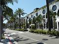 Beverly  P1020313